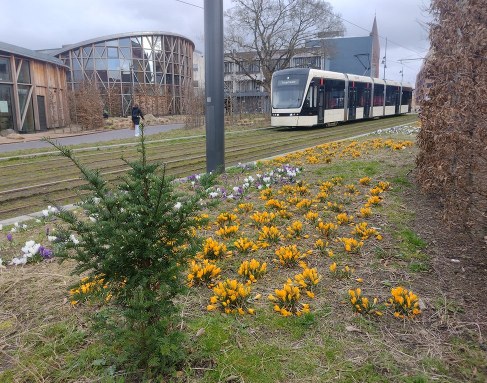 Forår i Odense